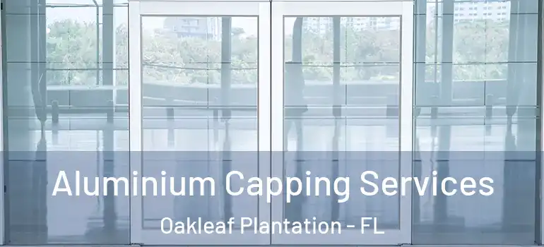  Aluminium Capping Services Oakleaf Plantation - FL