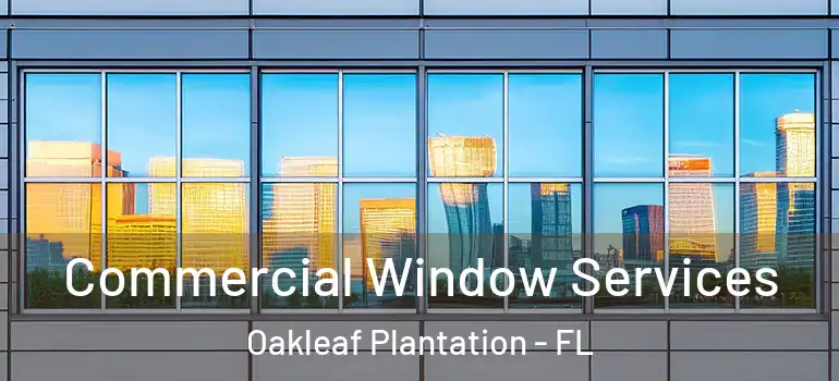  Commercial Window Services Oakleaf Plantation - FL