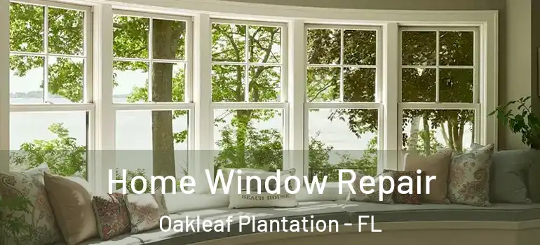  Home Window Repair Oakleaf Plantation - FL