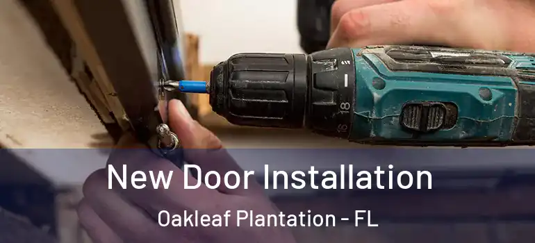  New Door Installation Oakleaf Plantation - FL