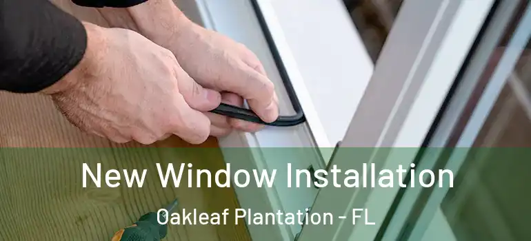  New Window Installation Oakleaf Plantation - FL