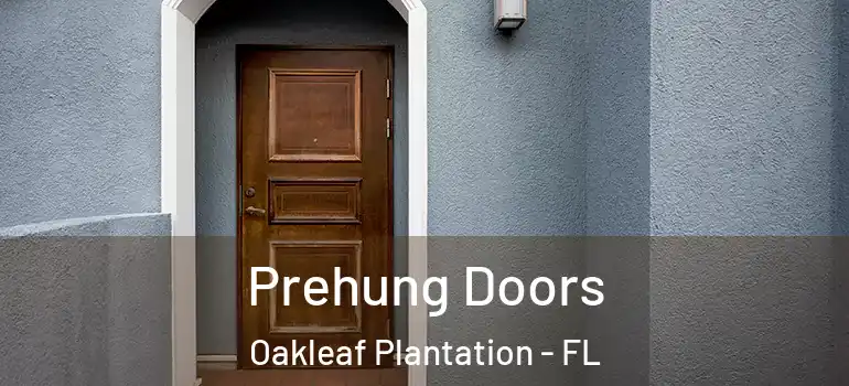 Prehung Doors Oakleaf Plantation - FL