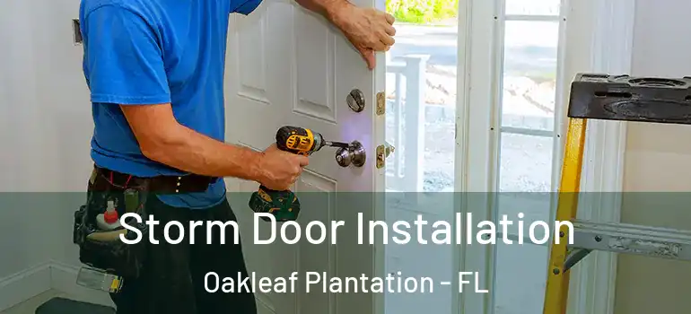  Storm Door Installation Oakleaf Plantation - FL