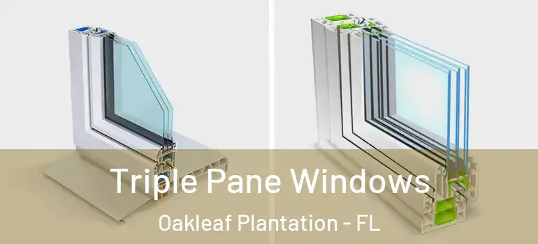  Triple Pane Windows Oakleaf Plantation - FL